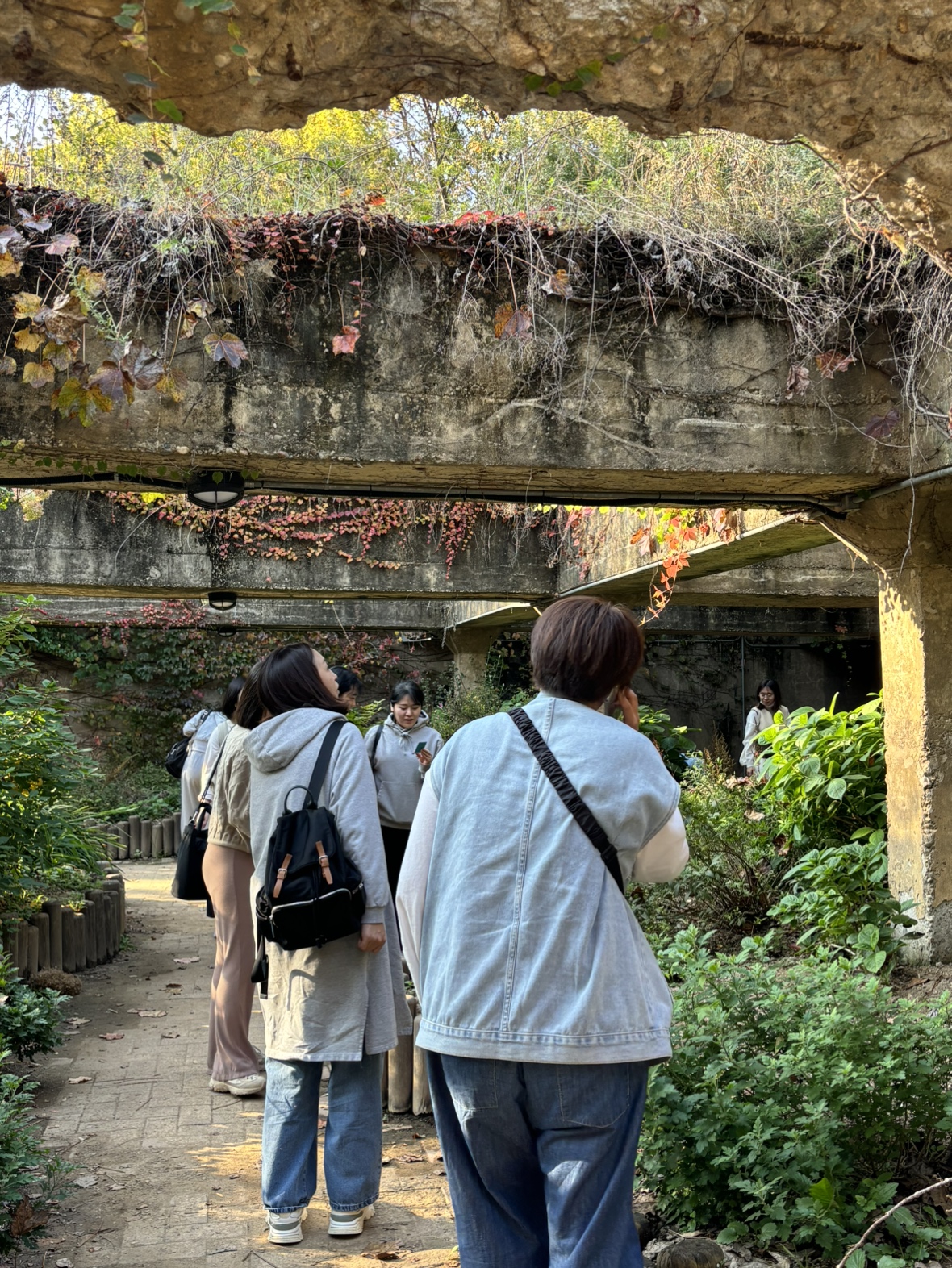 IMG_1614.jpeg