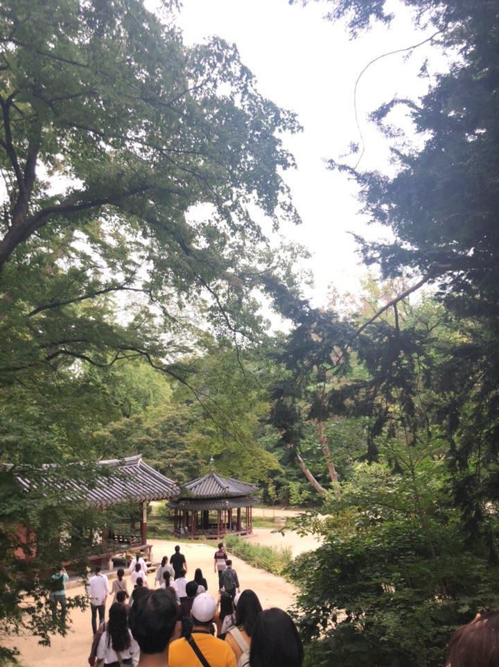 KakaoTalk_20191030_100828114.jpg