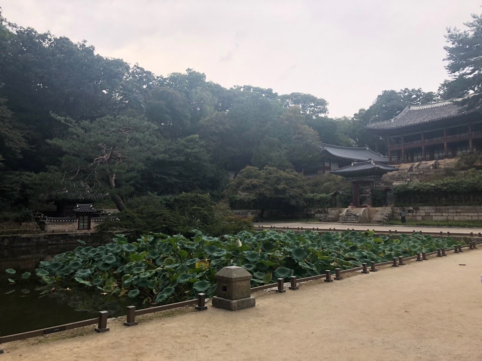 KakaoTalk_20191030_100820690.jpg