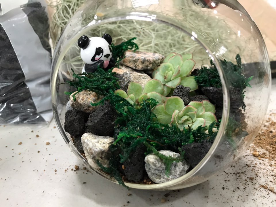 KakaoTalk_20191028_170847981_06.jpg