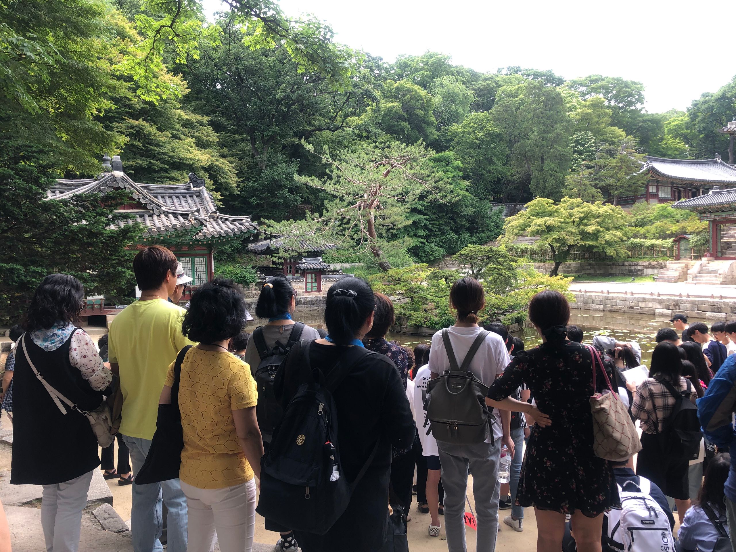 KakaoTalk_20190528_083217754.jpg