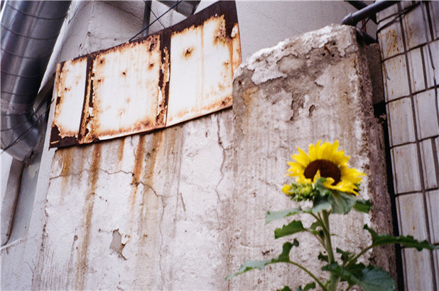 image01.png